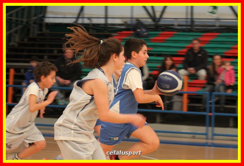 170317 basket 129_tn.jpg